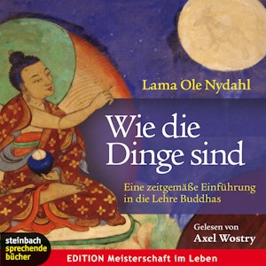 Wie die Dinge sind - Eine zeitgemäße Einführung in die Lehre Buddhas