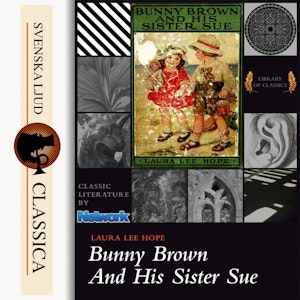 Bunny Brown and His Sister Sue