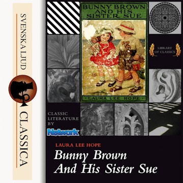 Bunny Brown and His Sister Sue