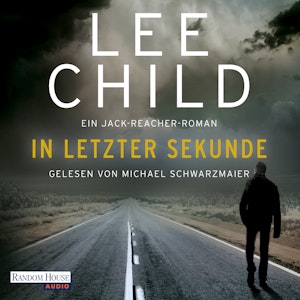 In letzter Sekunde - Ein Jack-Reacher-Roman