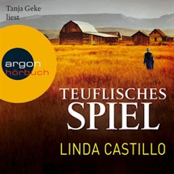 Teuflisches Spiel (Kate Burkholder 5)