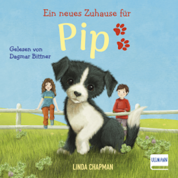 Ein neues Zuhause für Pip