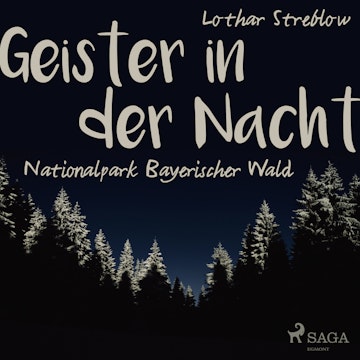 Geister in der Nacht. Nationalpark Bayerischer Wald