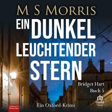 Ein dunkel leuchtender Stern audiobook, M S Morris