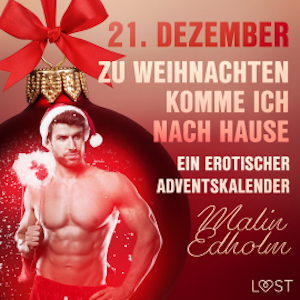 21. Dezember: Zu Weihnachten komme ich nach Hause – ein erotischer Adventskalender