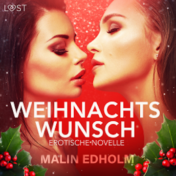 Weihnachtswunsch: Erotische Novelle