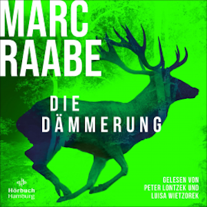 Die Dämmerung (Art Mayer-Serie 2)