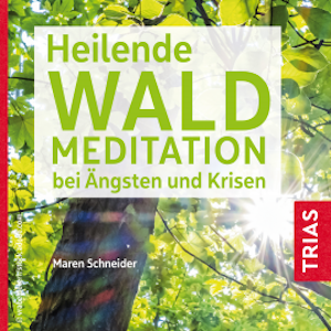 Heilende Waldmeditation bei Ängsten und Krisen