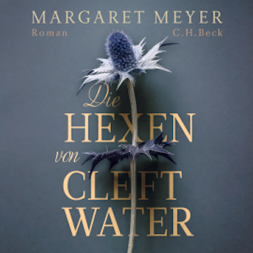 Die Hexen von Cleftwater