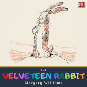 The Velveteen Rabbit