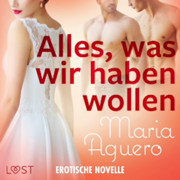 Alles, was wir haben wollen - Erotische Novelle