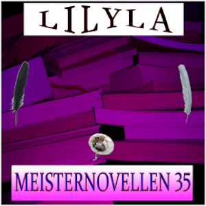 Meisternovellen 35