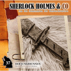 Der Jungbrunnen, Episode 2 (Sherlock Holmes & Co 37)