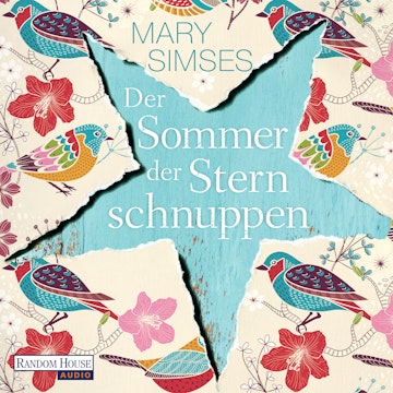 Der Sommer der Sternschnuppen