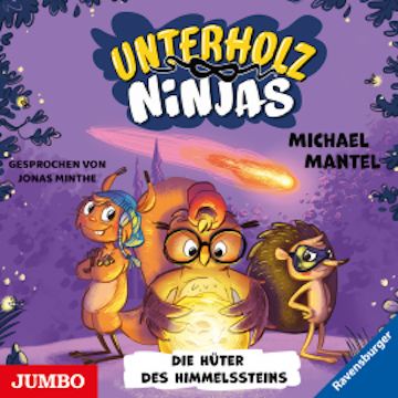 Unterholz-Ninjas. Die Hüter des Himmelssteins [2]