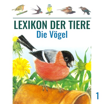 Die Vögel-(Lexikon der Tiere 1)