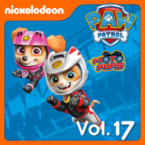 PAW Patrol - Volume 17