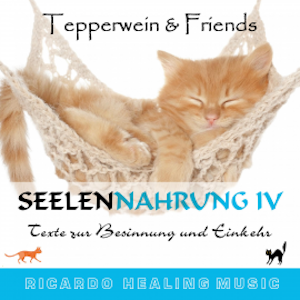 Seelennahrung 4: Texte zur Besinnung und Einkehr (Tepperwein and Friends)