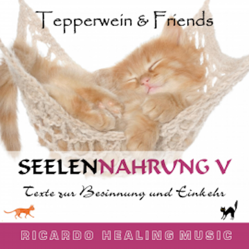 Seelennahrung 5: Texte zur Besinnung und Einkehr (Tepperwein and Friends)