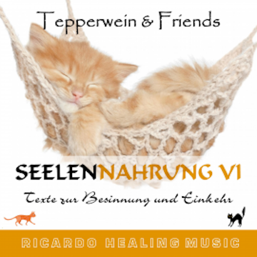 Seelennahrung 6: Texte zur Besinnung und Einkehr (Tepperwein and Friends)