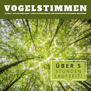 Vogelstimmen im Wald: Sanfte Naturgeräusche zum Einschlafen, Entspannen, Meditieren