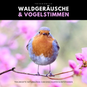 Friedvolle Waldgeräusche & Vogelstimmen