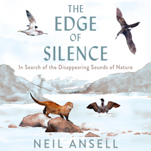 The Edge of Silence, Neil Ansell