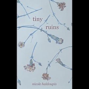 Tiny Ruins (Unabridged)