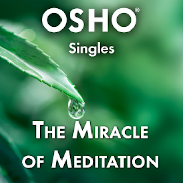 The Miracle of Meditation