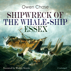 Shipwreck of the Whale-ship Essex