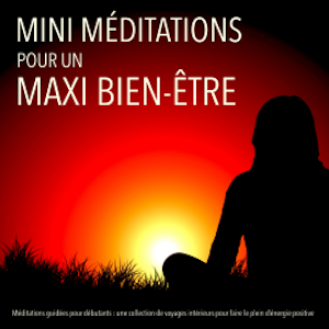 MINI méditations pour un MAXI bien-etre