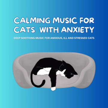Calming Music for Cats with Anxiety - Pet Music Therapy