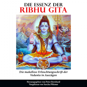 Die Essenz der Ribhu Gita