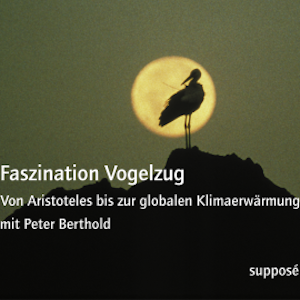 Faszination Vogelzug