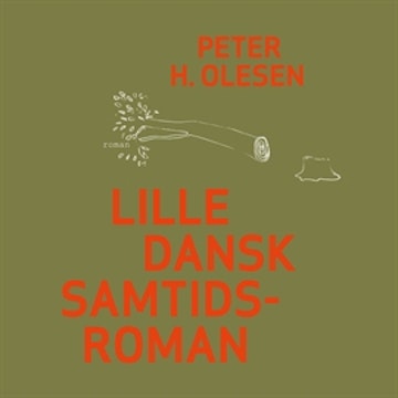 Lille dansk samtidsroman