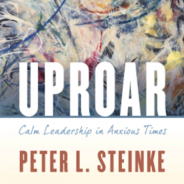 Uproar audiobook, Peter L. Steinke