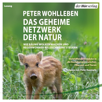 Das geheime Netzwerk der Natur. Wie Bäume Wolken machen und Regenwürmer Wildschweine kontrollieren