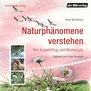 Naturphänomene verstehen. Von Kranichflug und Blumenuhr