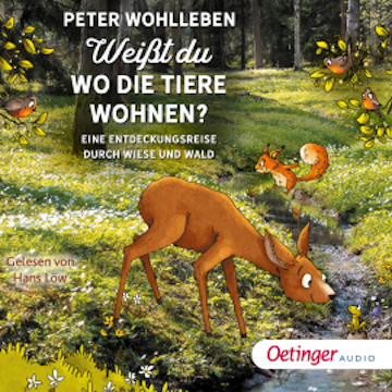 Weißt du, wo die Tiere wohnen? Eine Entdeckungsreise durch Wiese und Wald