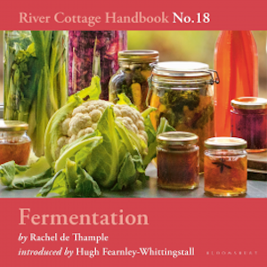 Fermentation, Rachel de Thample
