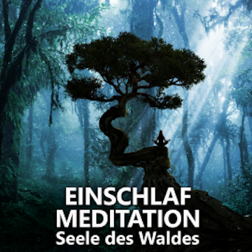 Einschlafmeditation | Seele des Waldes