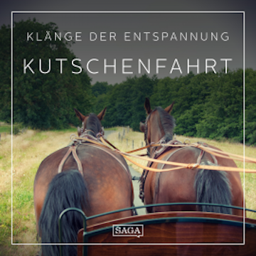 Klänge der Entspannung - Kutschenfahrt