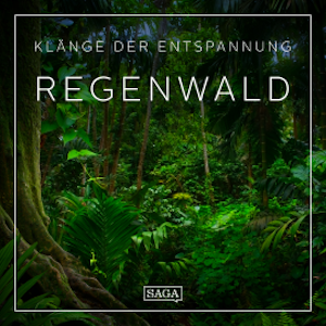 Klänge der Entspannung - Regenwald