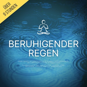 Beruhigender Regen (Naturgeräusche pur, Regentropfen, Leichter Regen, Waldregen, Leichtes Gewitter, Sommerregen)