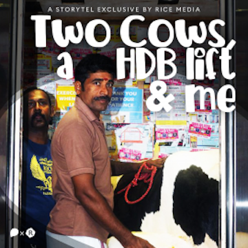 Two Cows, a HDB Lift, and Me