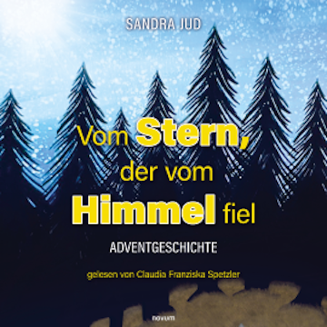 Vom Stern, der vom Himmel fiel - Hörbuch