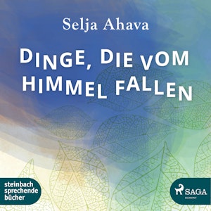 Dinge, die vom Himmel fallen