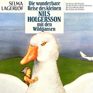 Nils Holgersson, Folge 1: Die wunderbare Reise des kleinen Nils Holgersson mit den Wildgänsen