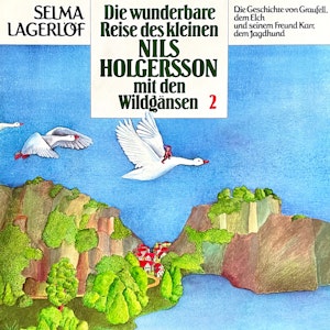 Nils Holgersson, Folge 2: Die wunderbare Reise des kleinen Nils Holgersson mit den Wildgänsen