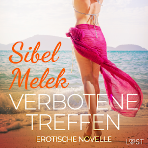 Verbotene Treffen - Erotische Novelle